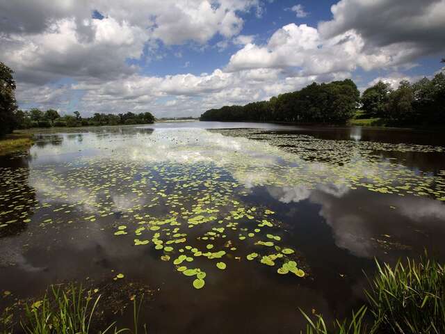 25 L'ETANG NEUF