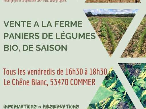 VENTE DE LEGUMES - JOHAN DRÛLÉ/GRAIN DANS L'SON