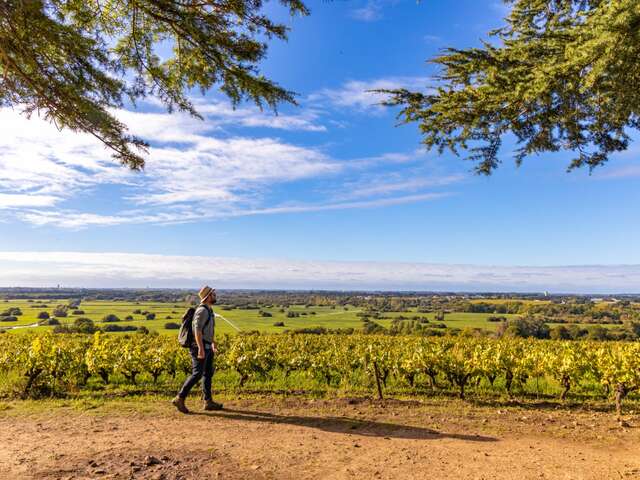 BOUCLE CIRCUIT DES MOULINS ET DE L'OUEN