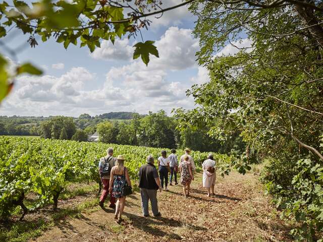Wine Tours : Escapade en Muscadet