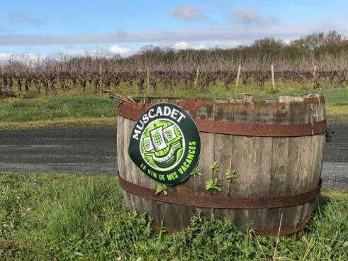AIRE D'ACCUEIL DE CAMPING-CAR DU DOMAINE FORGEAU