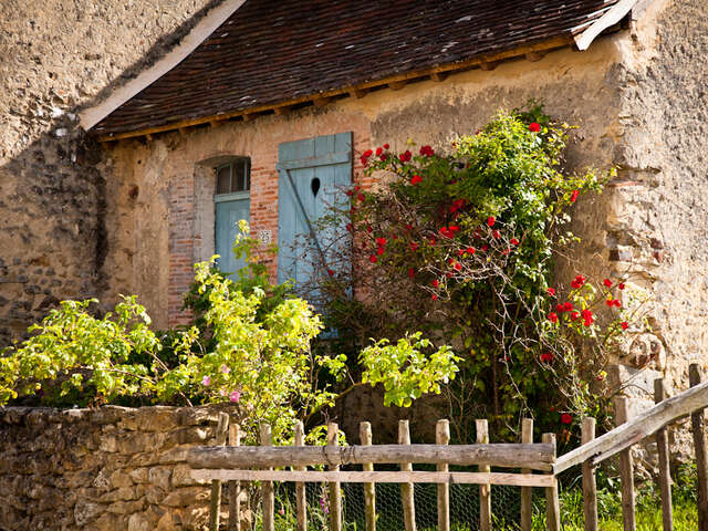 Circuit de la photographie