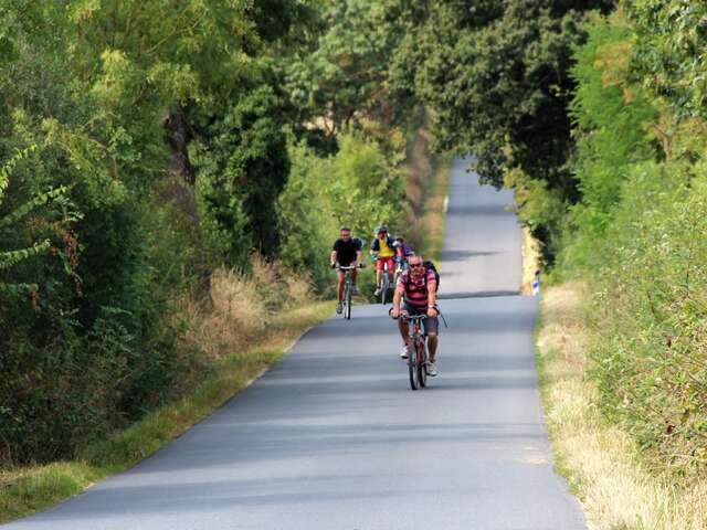 Boucle circuit Vignoble à Vélo entre Logne et Sanguèze