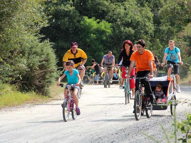 Boucle circuit Vignoble à Vélo entre Sèvre et marais