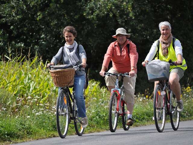 Boucle circuit Vignoble à Vélo entre vignes et bocages