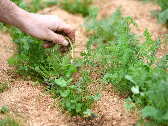 LA FERME DES PETITES MOTTES