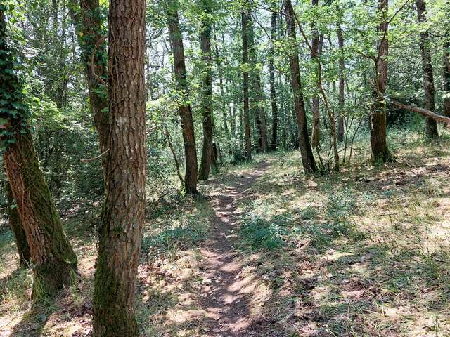 "Grand tour du Gasseau" interpretation trail