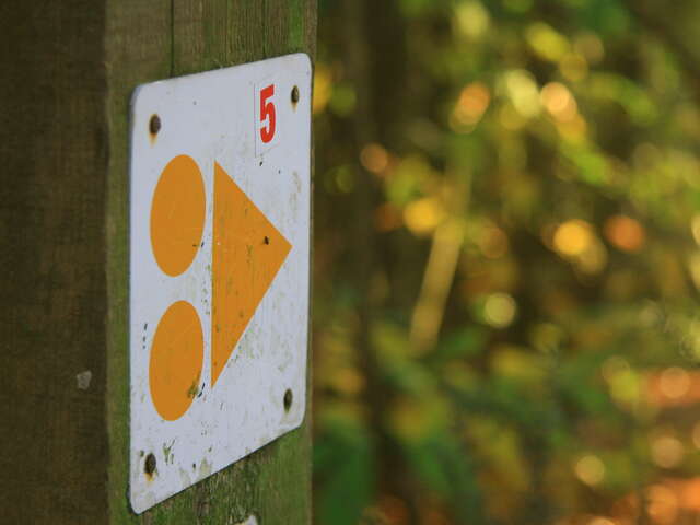 Circuit vtt n°5 