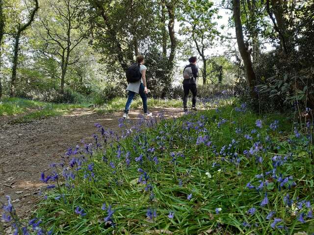 BOUCLE CIRCUIT LES COTEAUX LUMINAIS