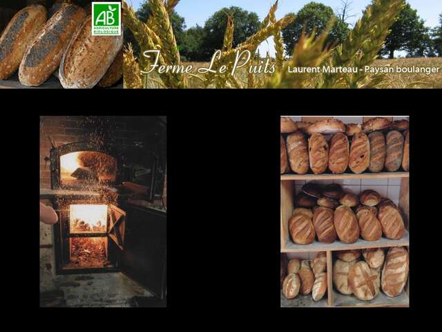 FERME LE PUITS