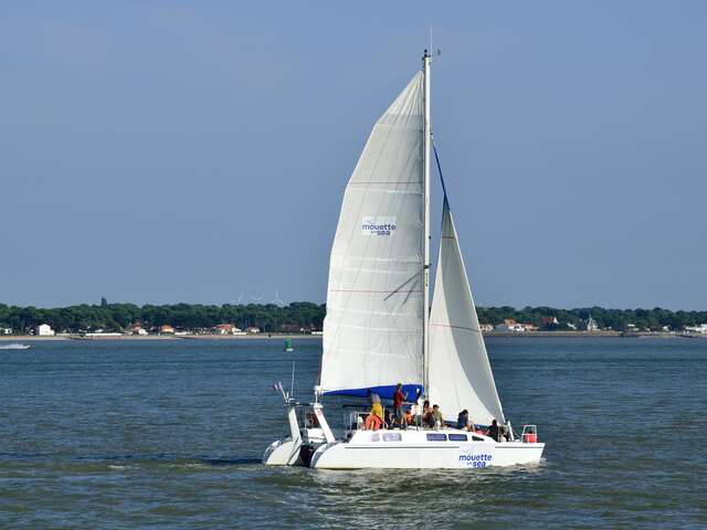 MOUETTE AND SEA
