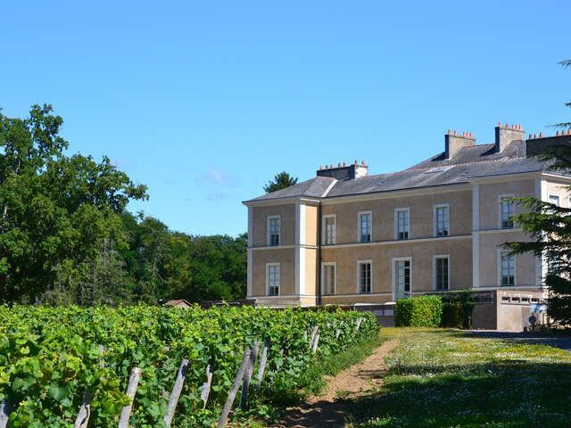 Château du Cléray - Sauvion