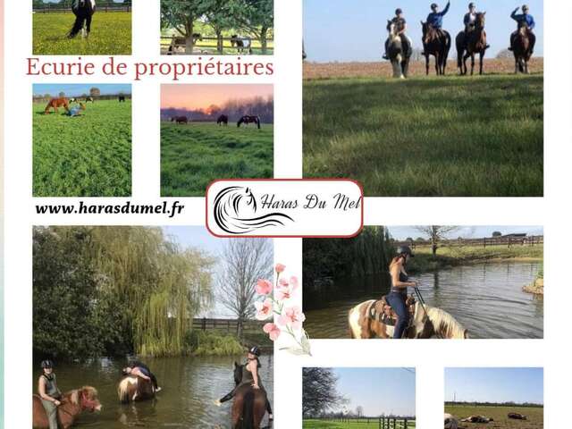 HORSERIDING - HARAS DU MEL