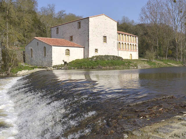 Vallée de la Sèvre au Liveau à Gorges