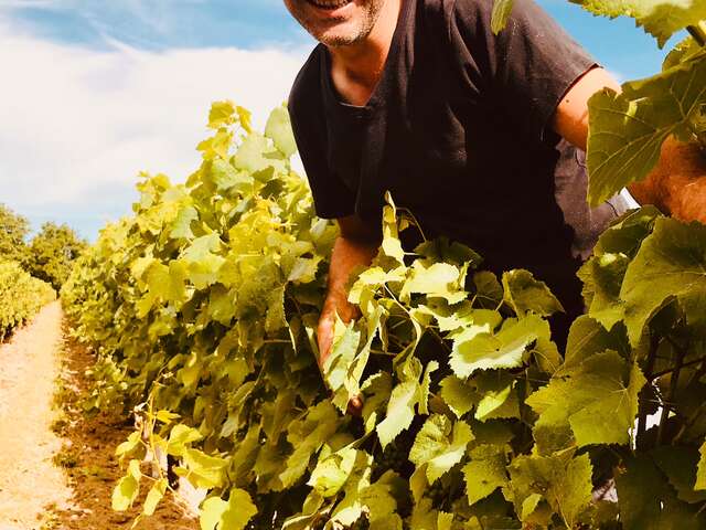 Domaine Bruno Cormerais
