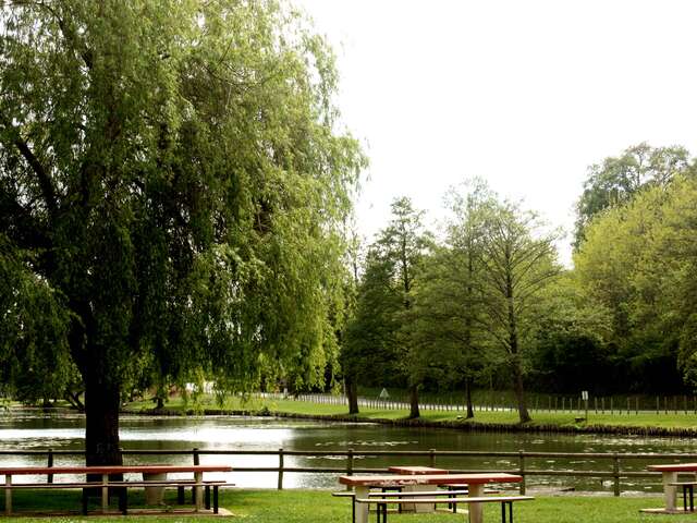 Tour du lac de Saint-Calais