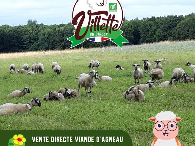VILLETTE EN DIRECT