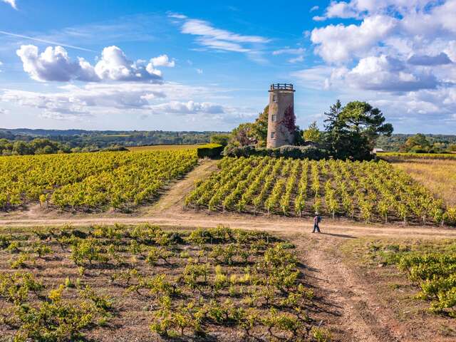 BOUCLE CIRCUIT ENTRE SEVRE ET CÔTEAUX