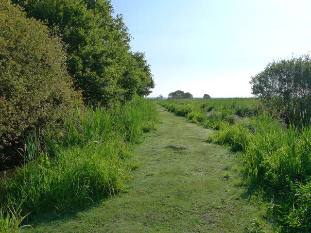 LA MENAGERIE DES MARAIS-CHAPELAINS