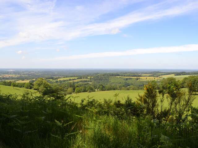 SUR LE FLANC DU MONT ROCHARD - N°22