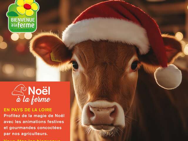 Rencontrez le Père Noël à la ferme du Coudray