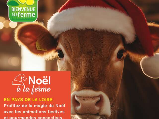 Noël à la Ferme : La Cueillette Duverger