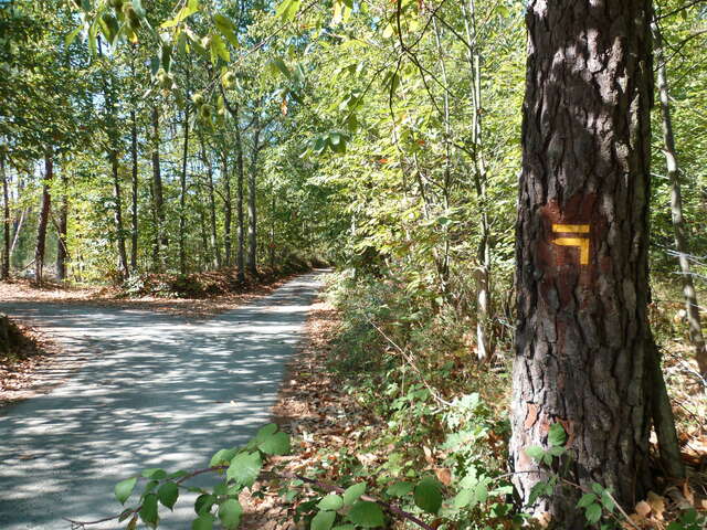Les boucles de Saint-Célerin