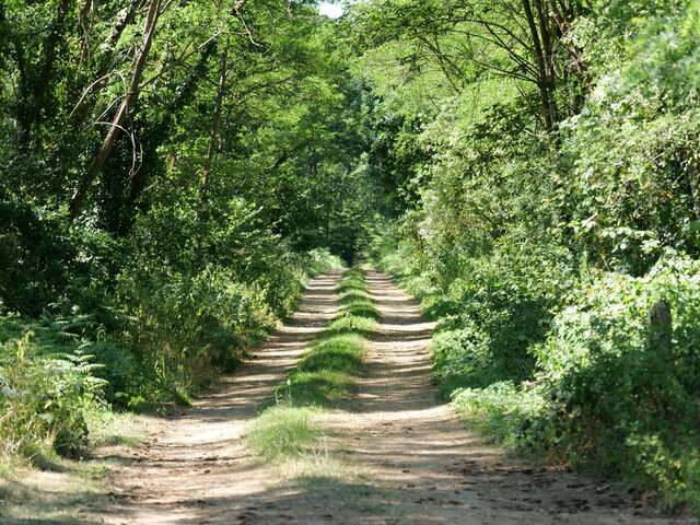 Circuit des deux chênes