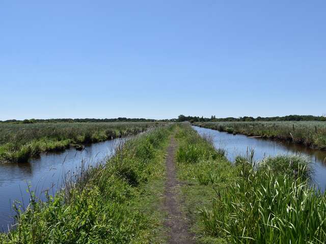 LE HÉRON (La Posture du Héron)