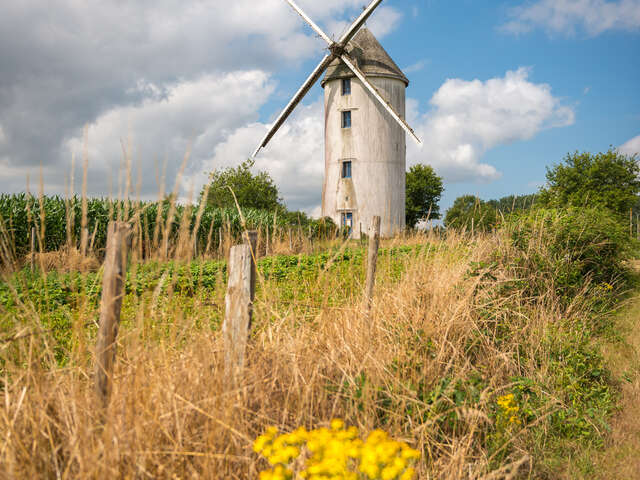 SENTIER DU MOULIN