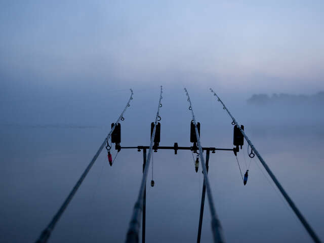 PECHE À LA CARPE DE NUIT EN HAUTE MAYENNE