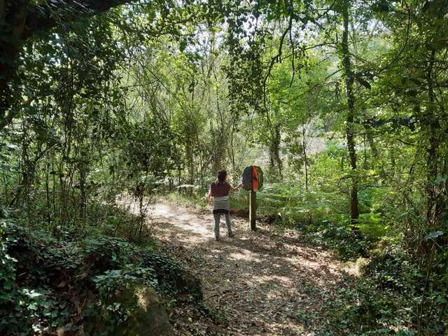 GR® DE PAYS SEVRE ET MAINE - BOUCLE DU VIGNOBLE