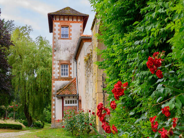 Domaine Chéreau-Carré