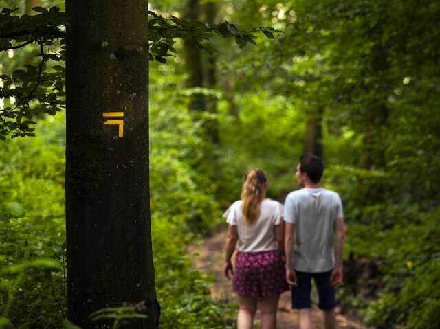 Le bois de Roussigny