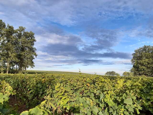 VÉLIDÉALE -ITINERAIRE 3 VERTOU - LE PALLET