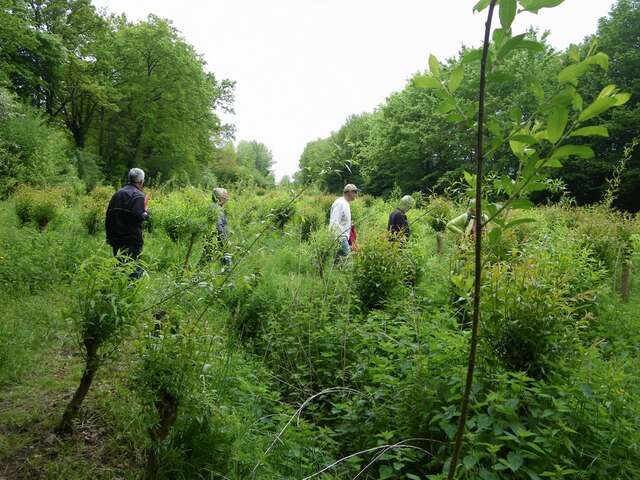 BOUCLE CIRCUIT DU MOULIN DE LA ROBINIÈRE
