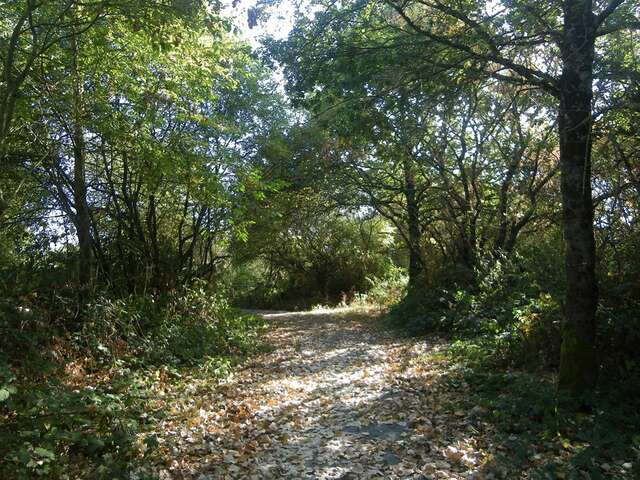 BOUCLE CIRCUIT ENTRE TERRES ET VIGNES