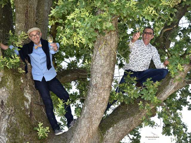 Domaine Poiron Dabin