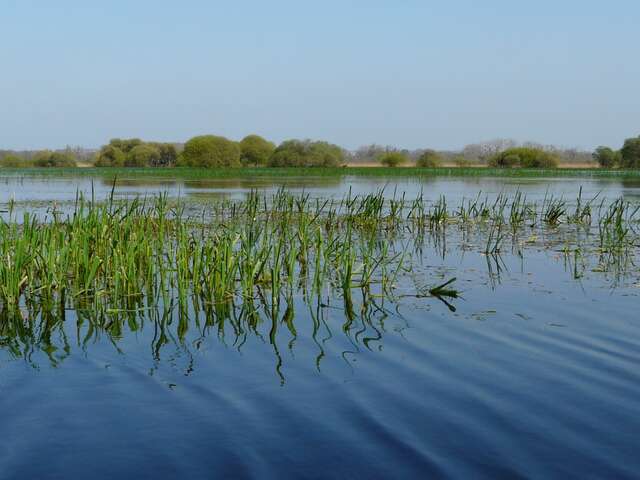 Les Marais de Goulaine, la Maison bleue