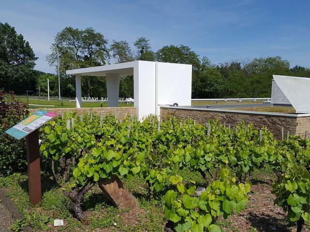 VÉLIDÉALE -ITINERAIRE 3 LE PALLET - CLISSON