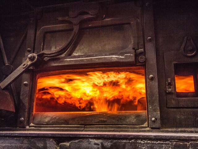 SCOP Pain Virgule, pains bios