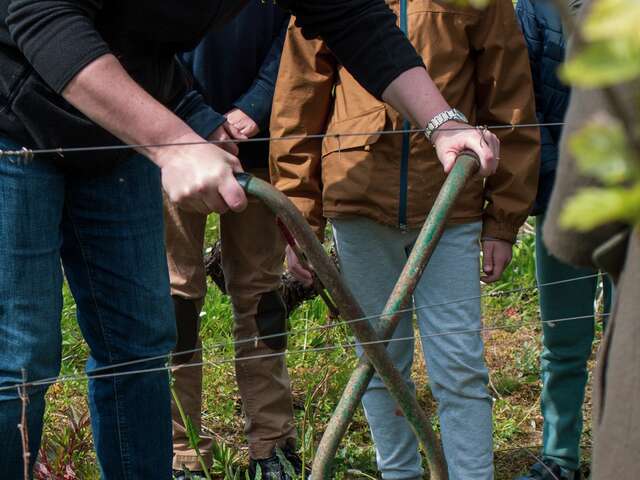 Parcours touche-à-tout