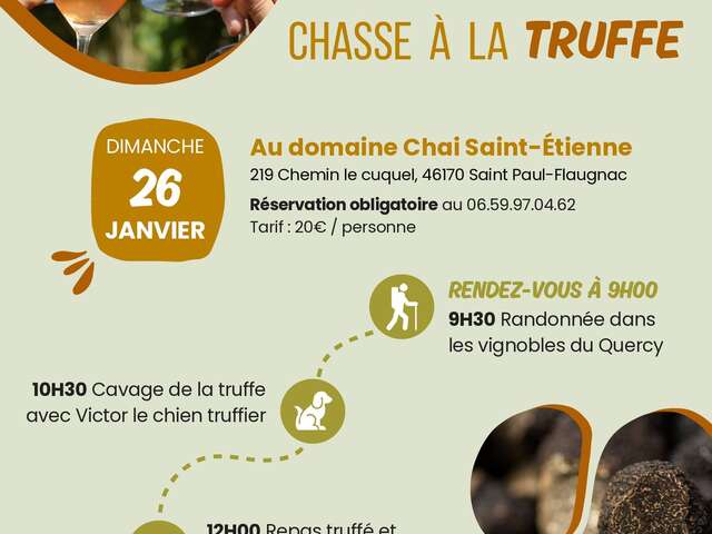 Marchez au cœur des vignes et partez à la chasse à la truffe