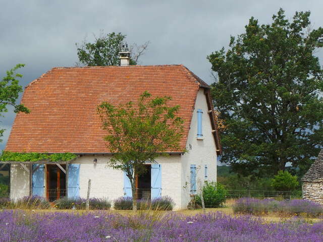 Gîte Lavitalie