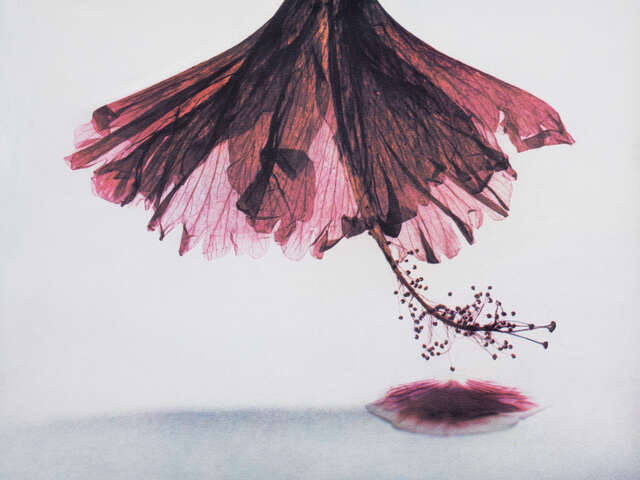 L'ANTIDOTE - Exposition "L'impermanence"