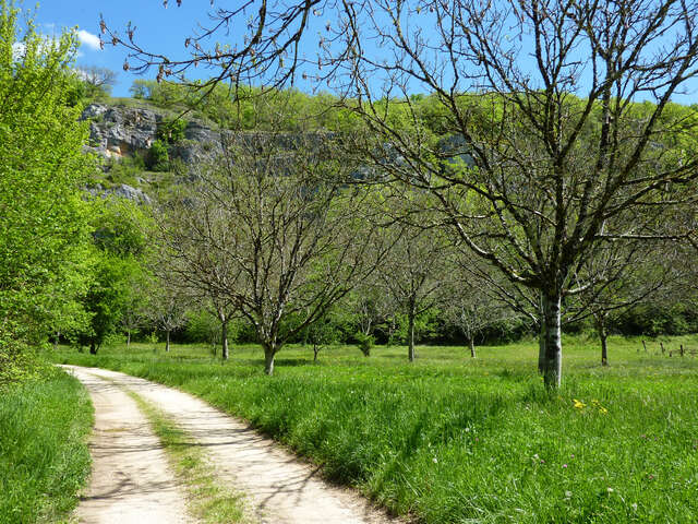 Entre Ouysse et Causse