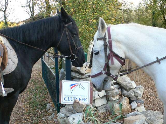 Centre Equestre L'étrier du Causse