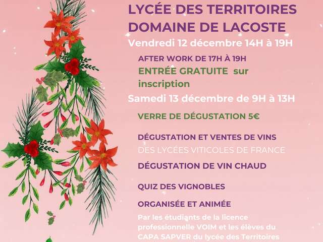 la Fête des vins au Domaine de Lacoste