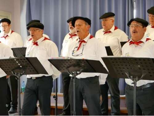 Les Gojats Del Porti en concert