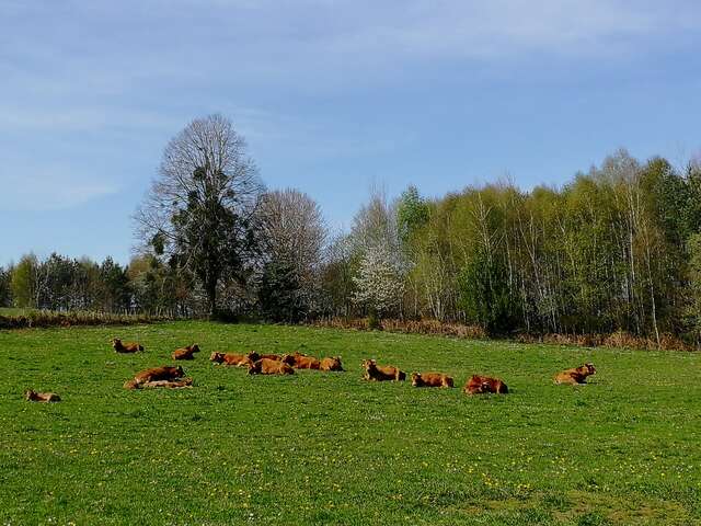 Entre Dordogne et Maronne